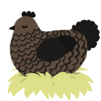 A bark and sable chicken with a lace pattern