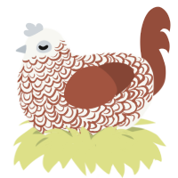 A white and russet chicken with a double-lace pattern