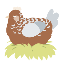 A brown and mist chicken with a half-lace pattern