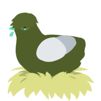 A olive and mist chicken