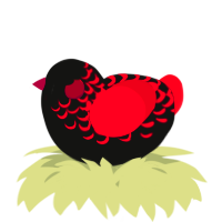 A black and crimson chicken with a half-lace pattern