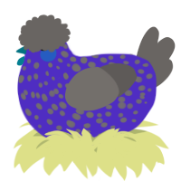 A indigo and grey chicken with a speckle pattern
