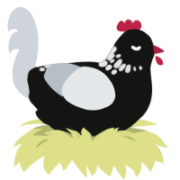 Possession, a black and mist chicken with a neck-speckle pattern
