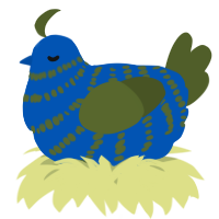 A ultramarine and olive chicken with a bar pattern
