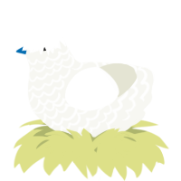 A white chicken with a lace pattern