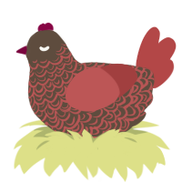 A bark and red chicken with a double-lace pattern