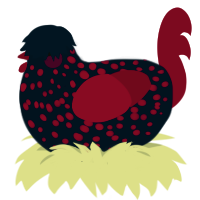 A tumblr and maroon chicken with a speckle pattern