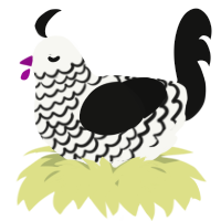 A white and black chicken with a lace pattern