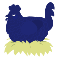 A navy chicken with a lace pattern
