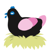 A sable and pink chicken