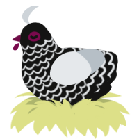 (unnamed), a black and mist chicken with a lace pattern