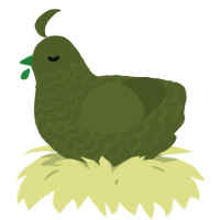 A olive chicken with a lace pattern