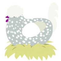 Moon Rock, a silver and white chicken with a speckle pattern