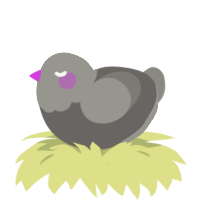 A grey and ash chicken with a head pattern