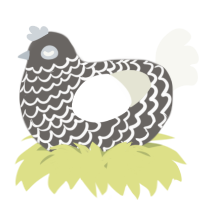 A grey and white chicken with a lace pattern