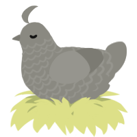 A ash chicken with a lace pattern