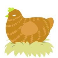 Pumpkin Pie, a ochre and orange chicken with a bar pattern