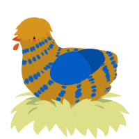 Courtney, a ochre and ultramarine chicken with a bar pattern