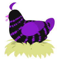 A black and violet chicken with a bar pattern
