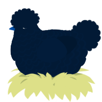 A tumblr chicken with a lace pattern