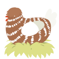A brown and white chicken with a bar pattern