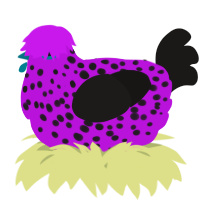 A amethyst and sable chicken with a speckle pattern