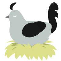 Professor Membrane, a silver and sable chicken