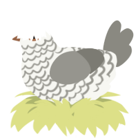 A white and ash chicken with a lace pattern