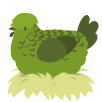 A chartreuse and olive chicken with a half-lace pattern