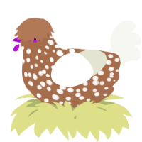 A brown and white chicken with a speckle pattern