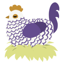 Fine China, a white and overcast chicken with a lace pattern