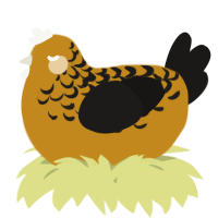 A ochre and sable chicken with a half-lace pattern