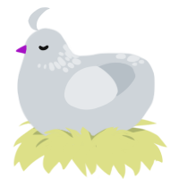 free silver movement, a mist chicken with a neck-speckle pattern