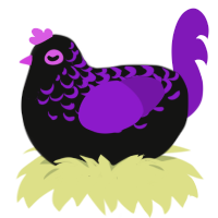 choth, a black and violet chicken with a half-lace pattern