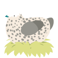 A cream and ash chicken with a speckle pattern