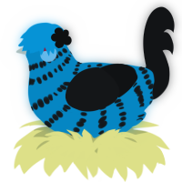 A cerulean and sable chicken with a bar pattern
