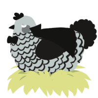 A silver and sable chicken with a lace pattern
