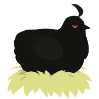 A black and sable chicken