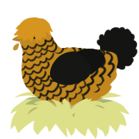 A ochre and black chicken with a lace pattern