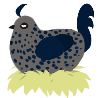 A grey and tumblr chicken with a speckle pattern