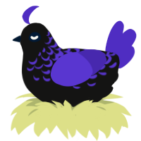 A black and indigo chicken with a half-lace pattern