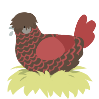 warmth, a bark and red chicken with a lace pattern