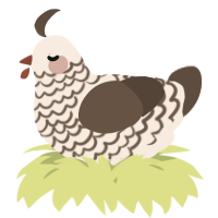 A cream and bark chicken with a lace pattern