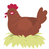A russet chicken with a half-bar pattern