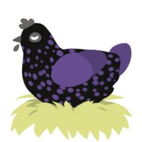 Blackberry Gobbler, a black and overcast chicken with a speckle pattern