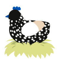 Petunia, a black and cream chicken with a speckle pattern