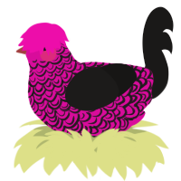 A fuchsia and sable chicken with a double-lace pattern