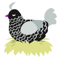 Fuiro, a sable and silver chicken with a lace pattern
