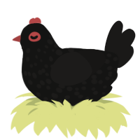 Mars, a black and sable chicken with a speckle pattern