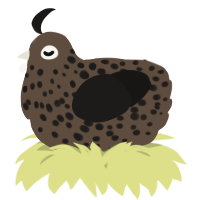 A bark and sable chicken with a speckle pattern